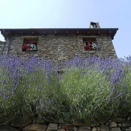 فندق Molini di Trioraفي  Agriturismo La Fontana Dell'Olmo المظهر الخارجي الصورة