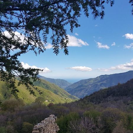 فندق Molini di Trioraفي  Agriturismo La Fontana Dell'Olmo المظهر الخارجي الصورة