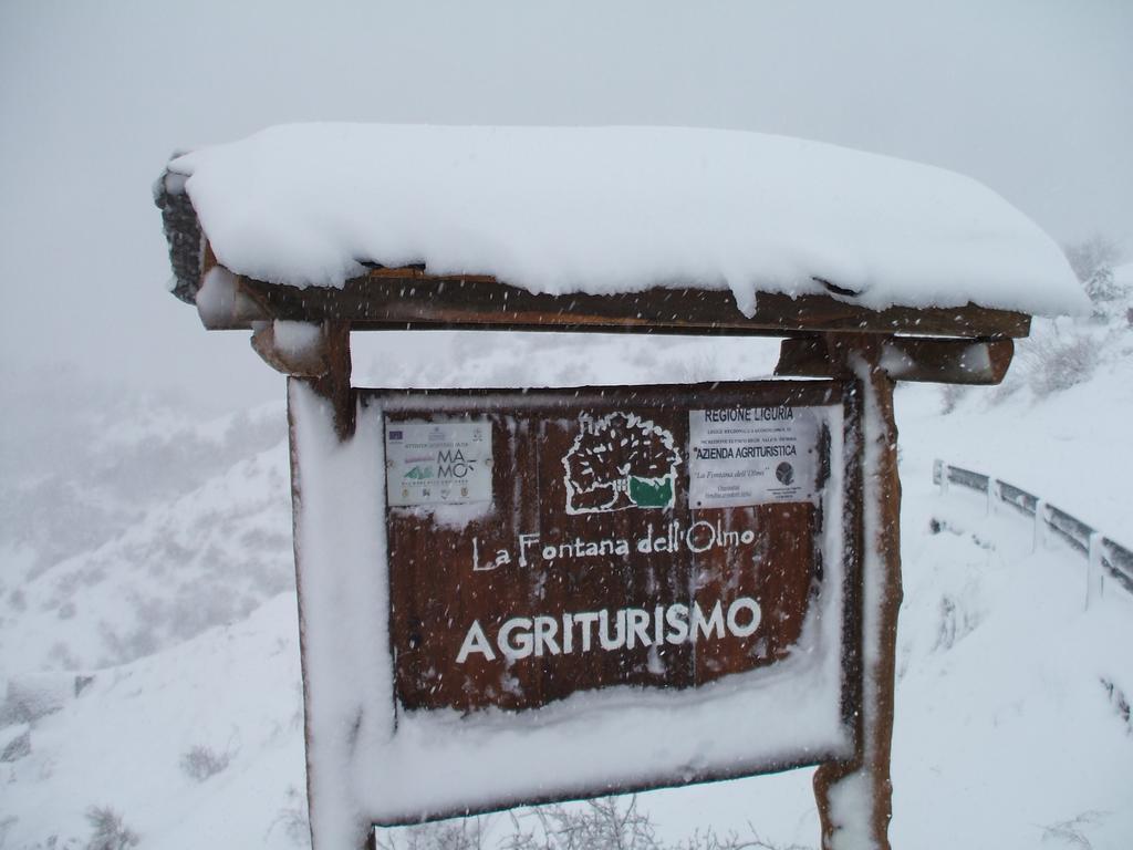 فندق Molini di Trioraفي  Agriturismo La Fontana Dell'Olmo المظهر الخارجي الصورة