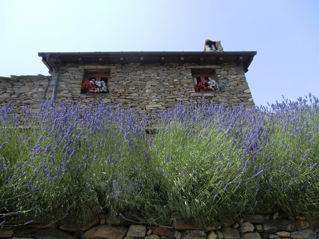 فندق Molini di Trioraفي  Agriturismo La Fontana Dell'Olmo المظهر الخارجي الصورة
