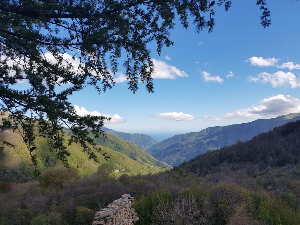 فندق Molini di Trioraفي  Agriturismo La Fontana Dell'Olmo المظهر الخارجي الصورة